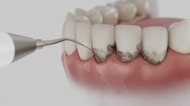 Reliable Dental contractor in St. Charles, IL by Dentist Open Now